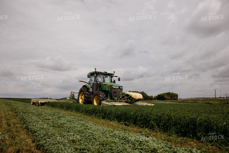 Cutting Hay 152142