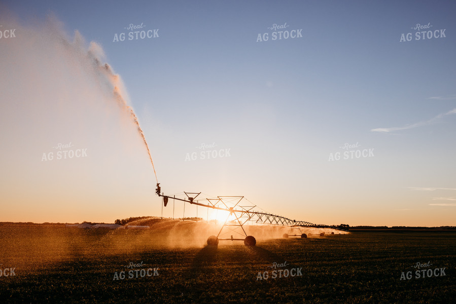 Irrigated Field 152199