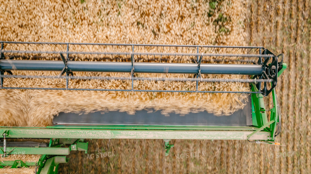 Wheat Harvest 56697