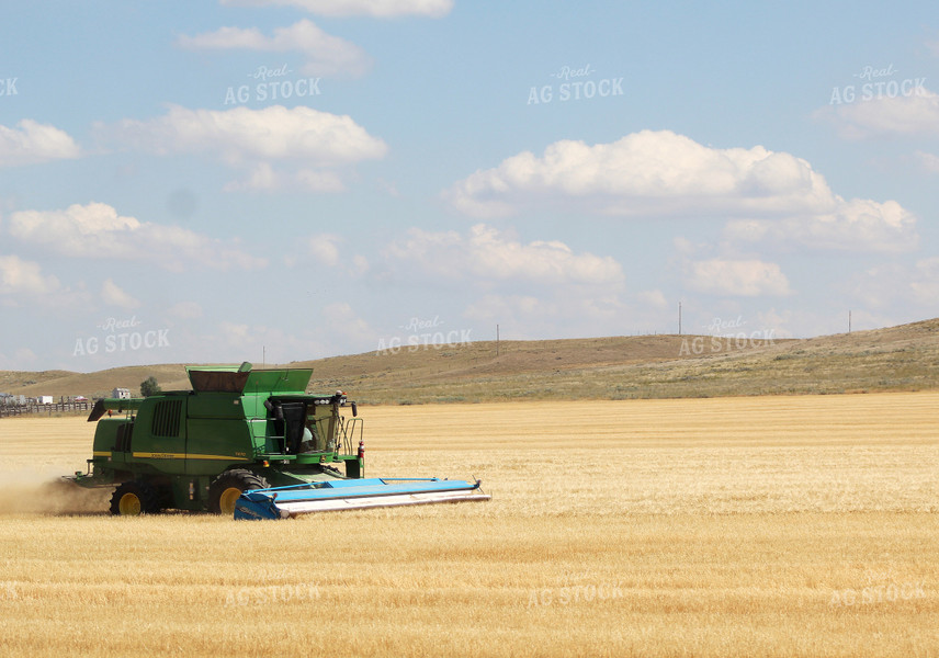 Wheat Harvest 141030