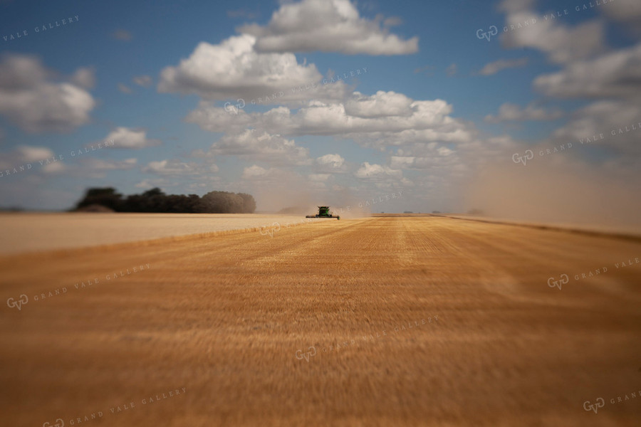 Wheat 2148