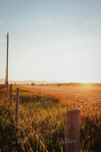 Hay Bales in Foothills 83085