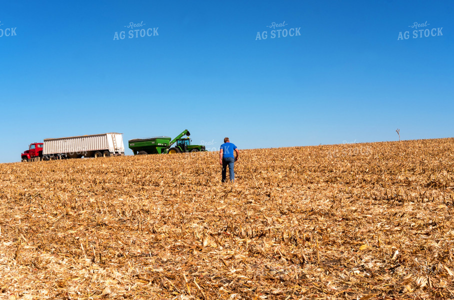 Farmer Walking to Combine in Field 154032