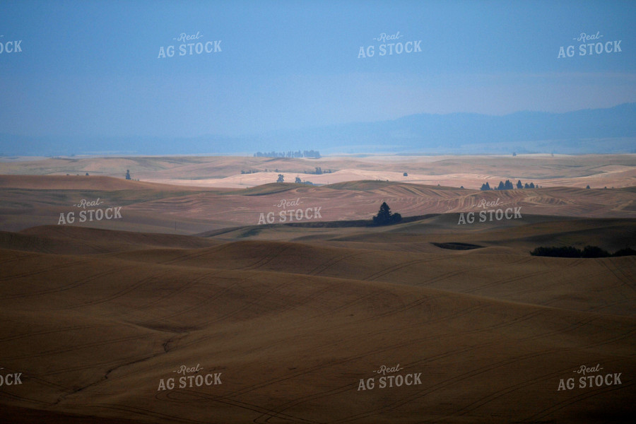 Rural Countryside with Rolling Hills 129041