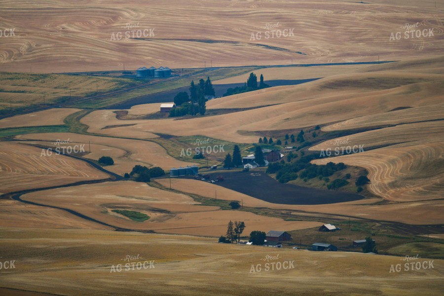 Rural Countryside with Rolling Hills 129042