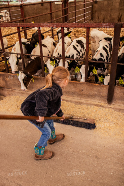 Farm Kid with Holstein Cattle 67388