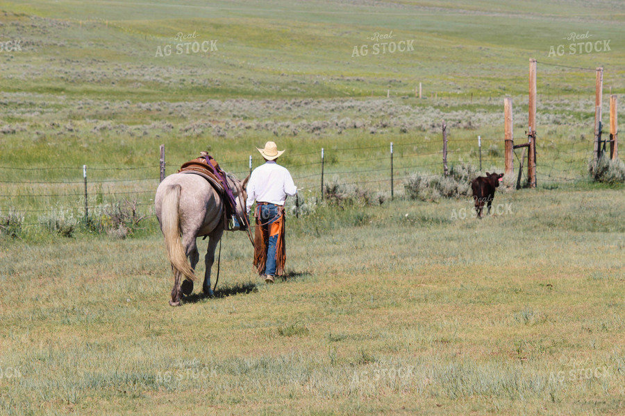 Rancher with Horse 63076