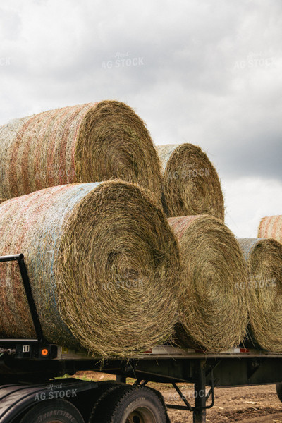 Round Bales on a Trailer 67402