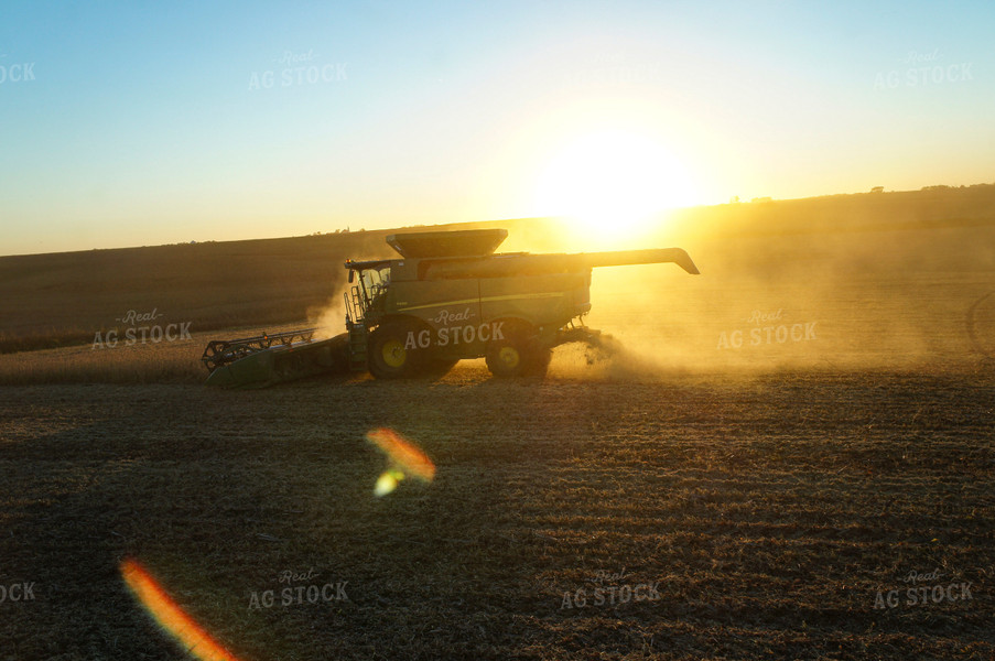 Soybean Harvest 156051