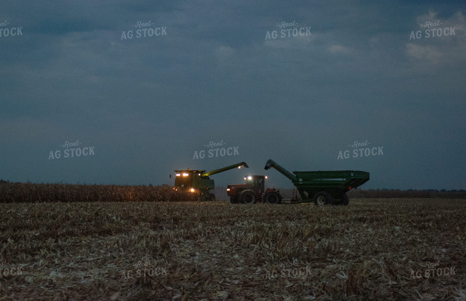 Corn Harvest 129067