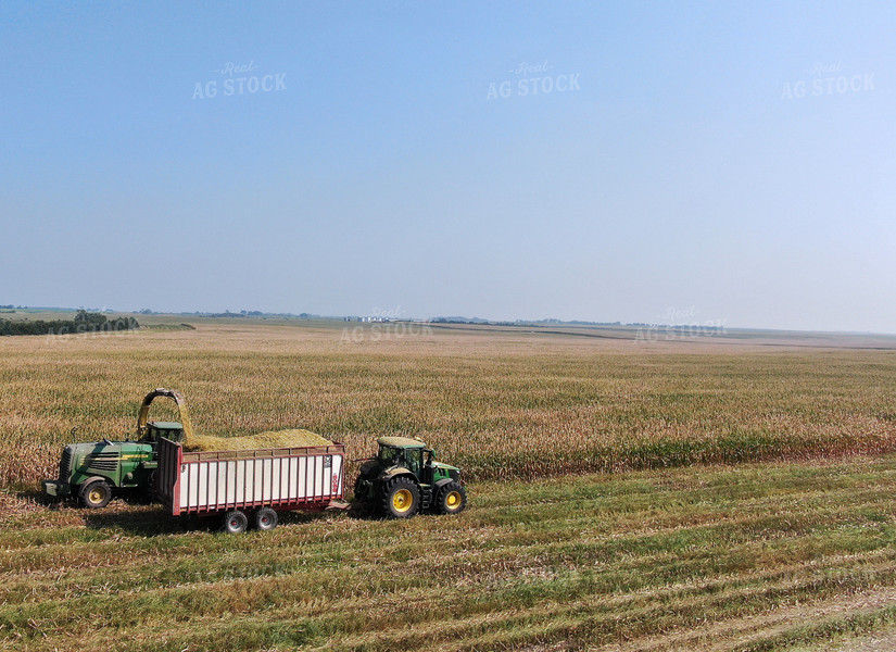 Silage Harvest 141057