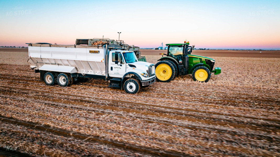 Onion Harvest 56722