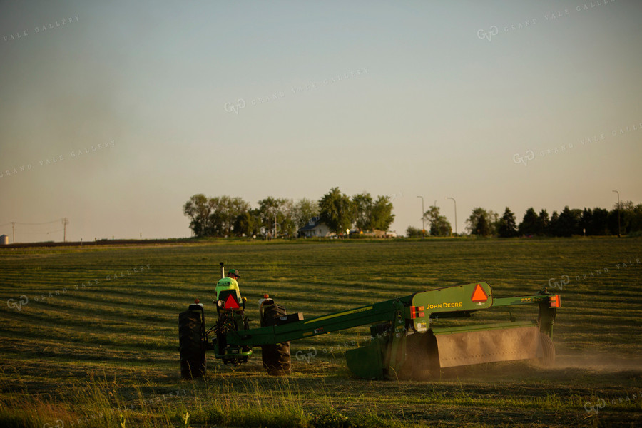 Cutting Hay 4959