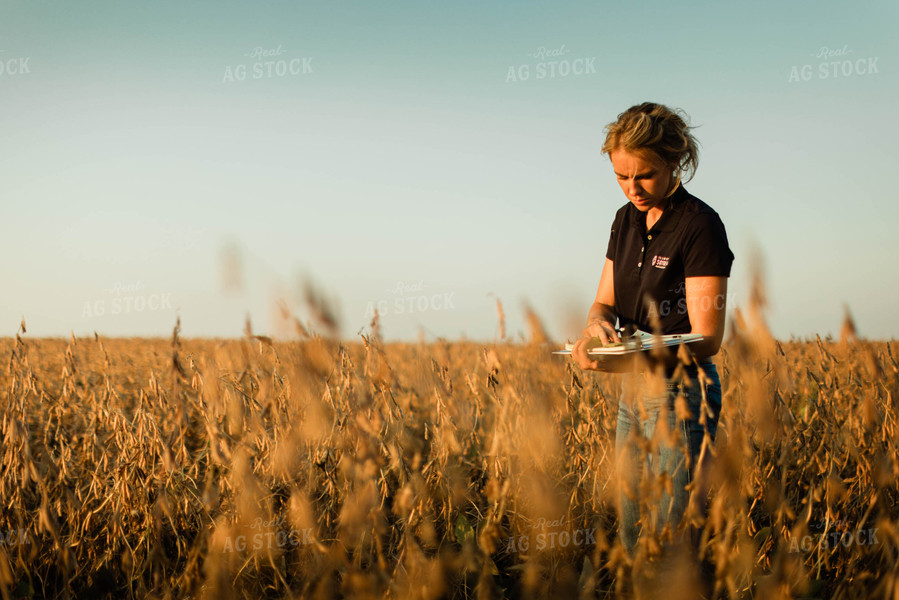 Female Agronomist Checking Beans 8305