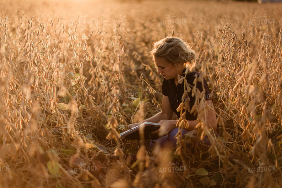 Female Agronomist Checking Beans 8314