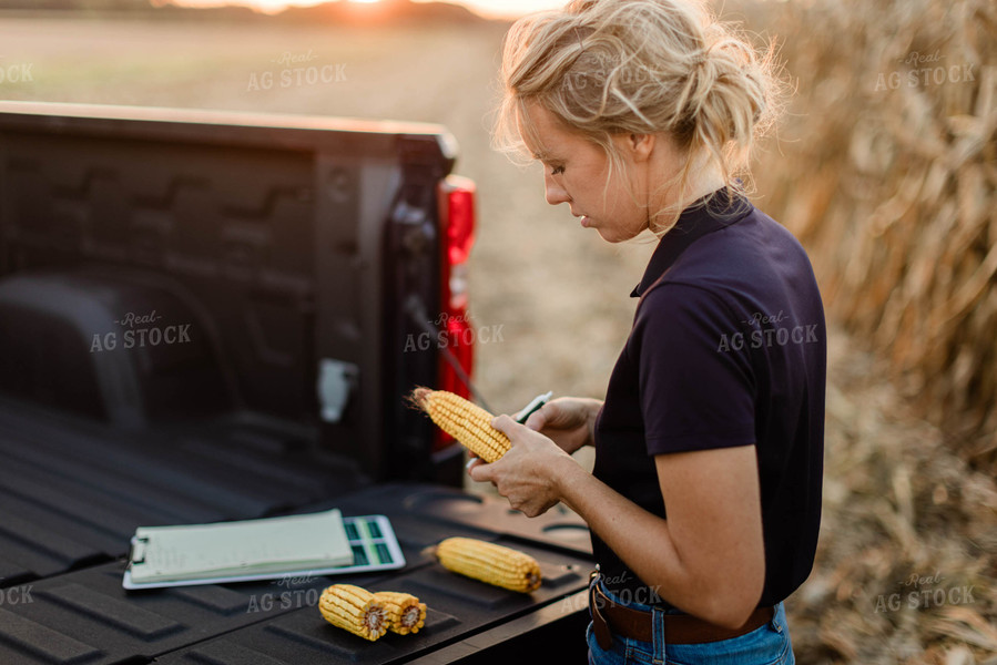 Female Agronomist Checking Corn 8351