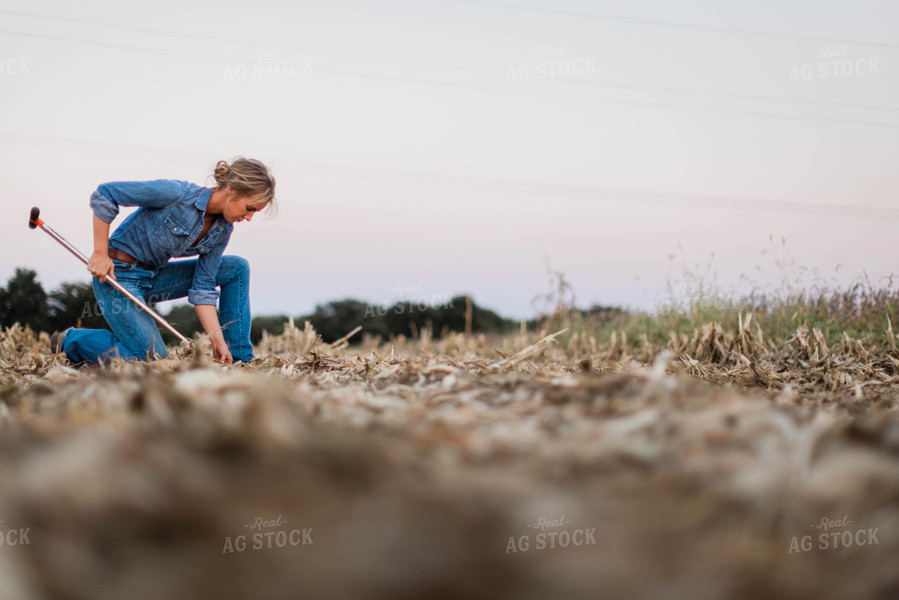 Female Farmer Taking Soil Sample 8384