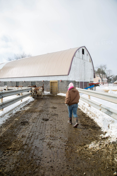 Female Dairy Farmer 161018