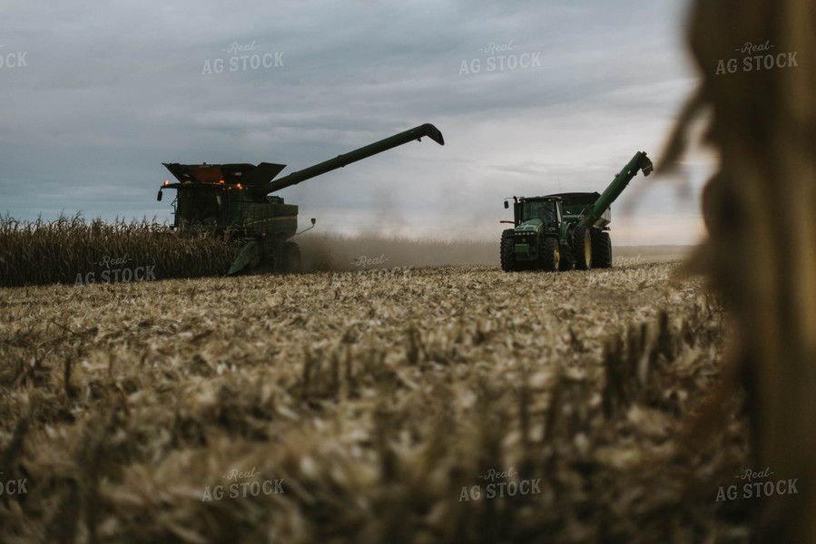 Corn Harvest 8602