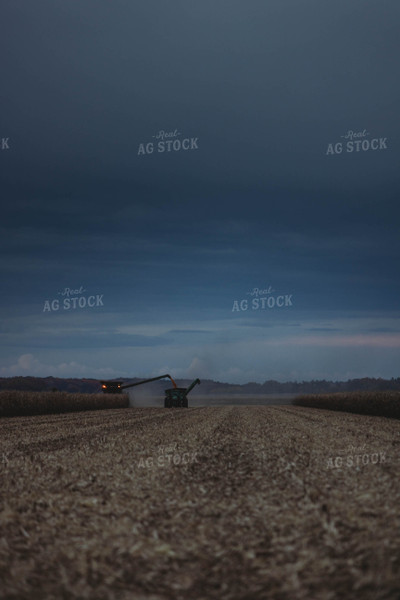 Corn Harvest 8634