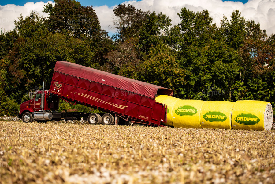 Loading Cotton Modules 136149