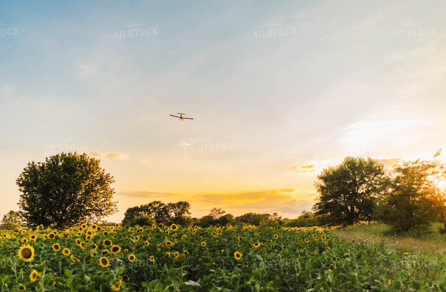 Crop Duster 115167