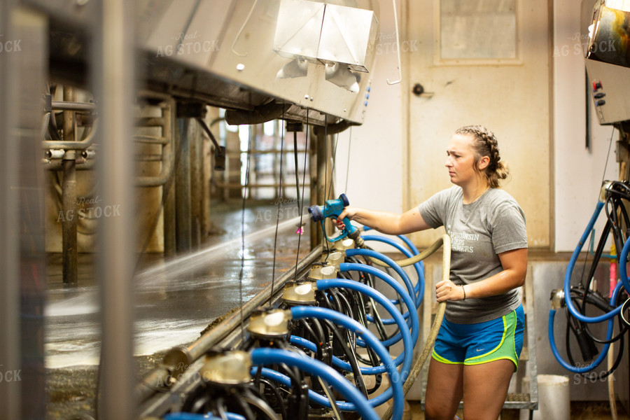 Cleaning Milk Parlor 161097