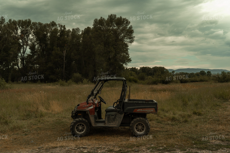 ATV in Pasture 58283