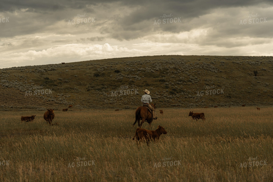 Rancher on Horseback 58286