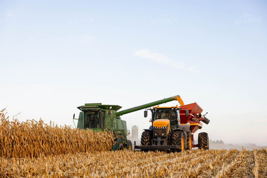 Corn Harvest 152357