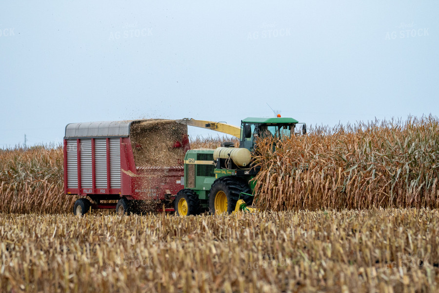 Harvesting Corn Silage 157103