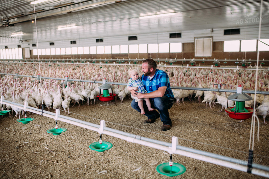 Farm Family in Turkey Barn 169034