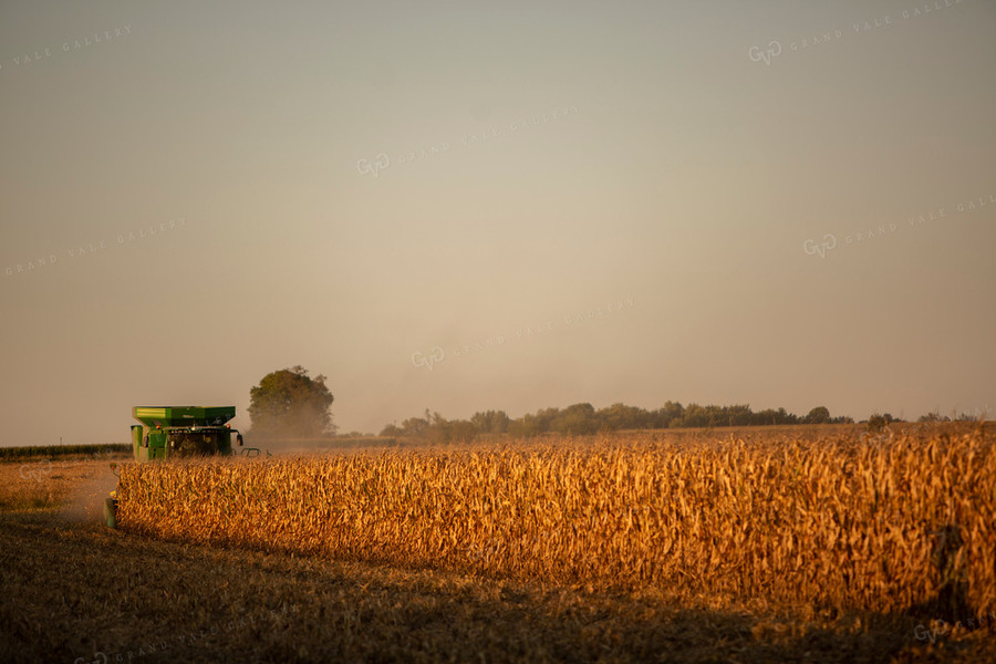 Harvest 2507