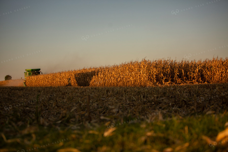 Harvest 2509