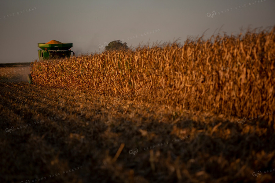 Harvest 2519