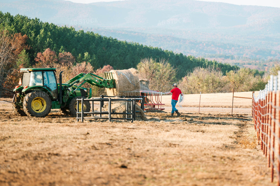 Putting out Hay in the Bale Feeder 125226