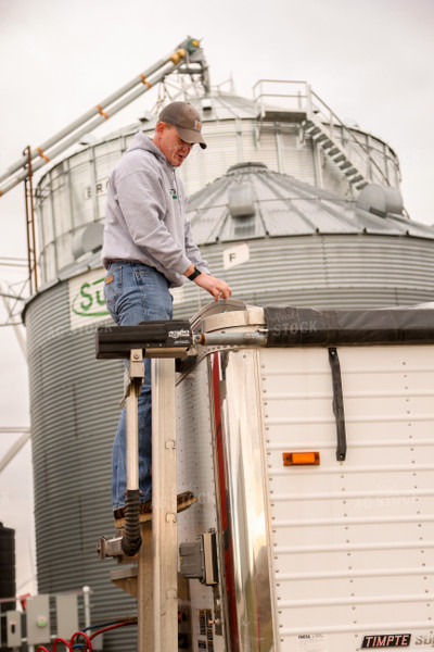 Farmer Loading Semi Trailer at On Farm Storage Location 161124