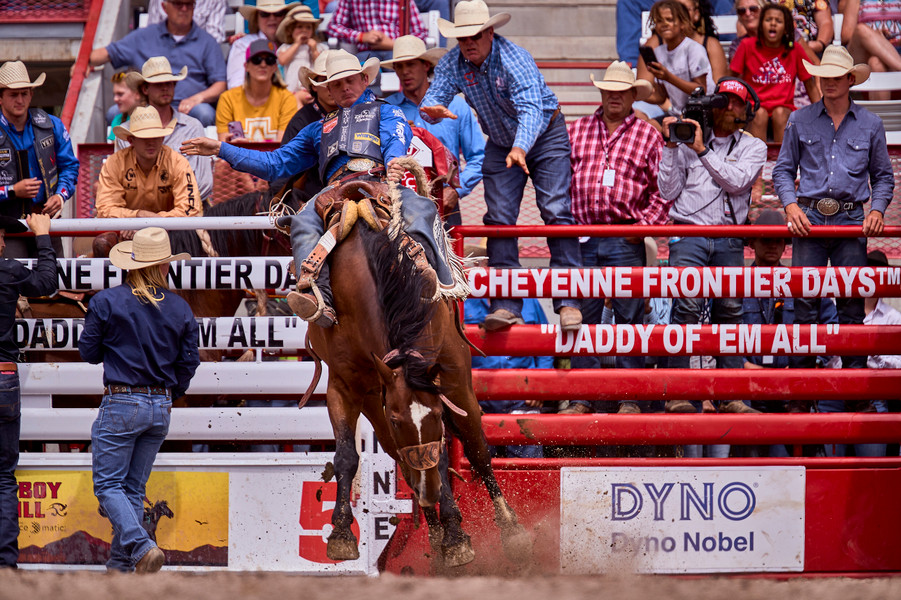 Saddle Bronc Riding 177000