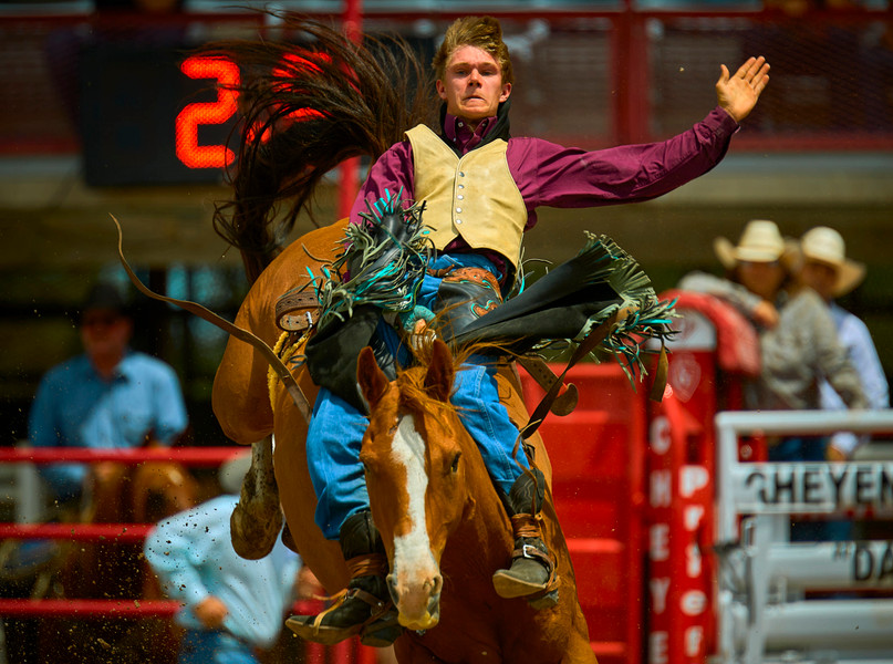 Saddle Bronc Riding 177004