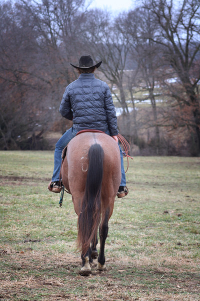 Cowboy on Horseback 182004