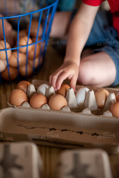 Collecting Eggs 76524