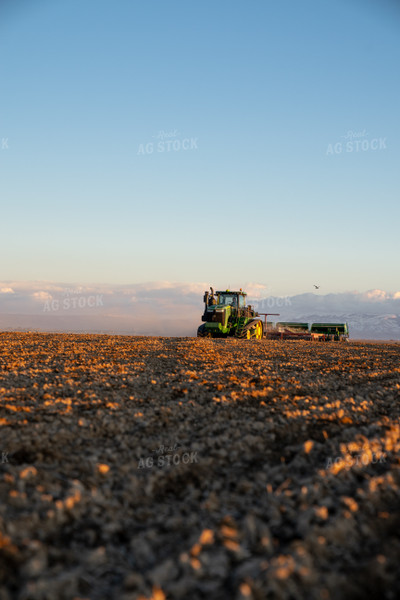 Drilling Barley 186006