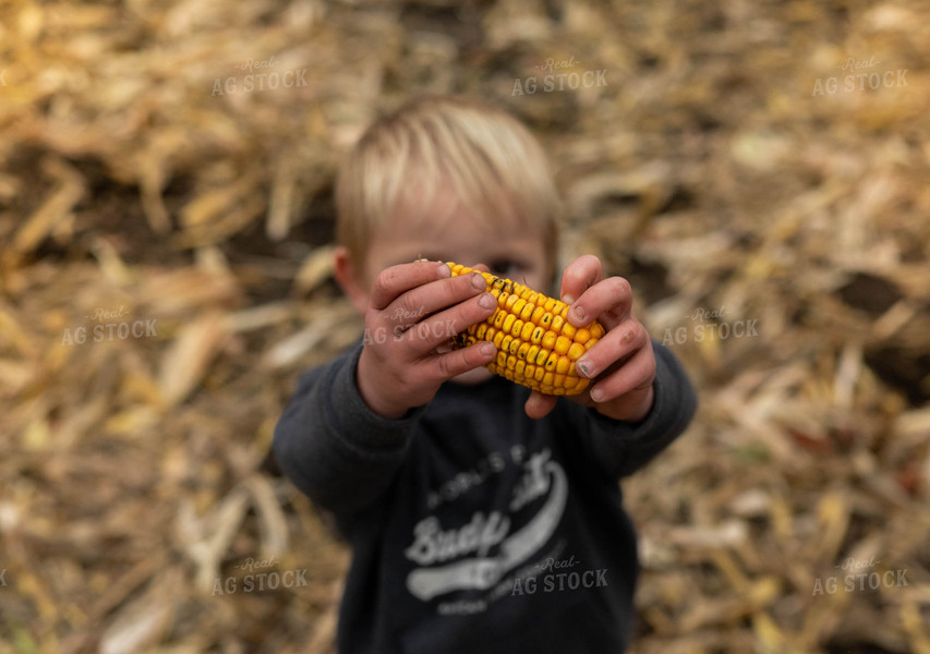 Farm Kid Holding Ear of Corn 185084