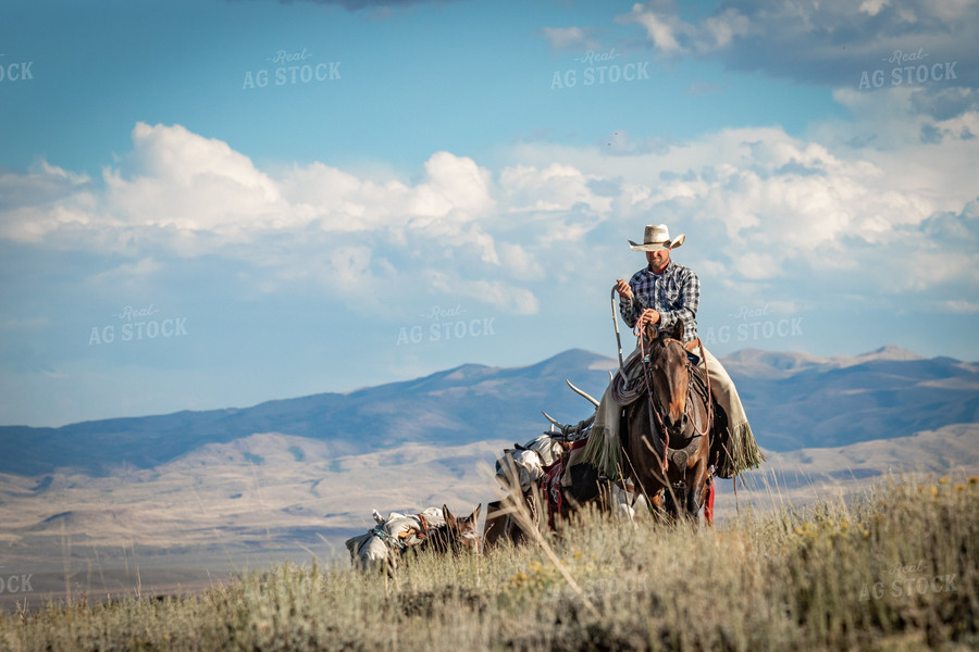 Rancher 188029