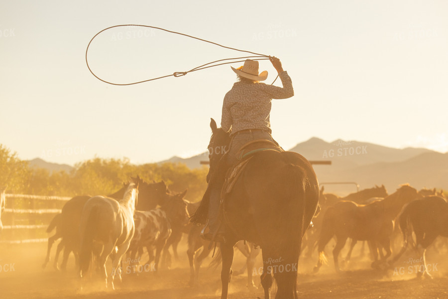 Female Rancher on Horseback 188078