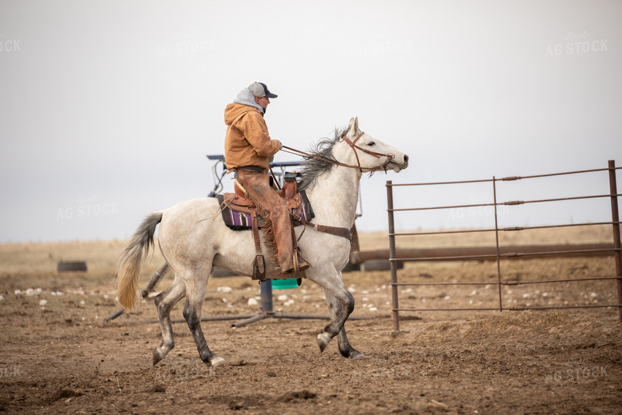 Rancher on Horseback 190013