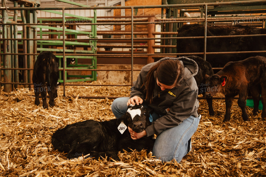 Female Farmer with Calf 67660