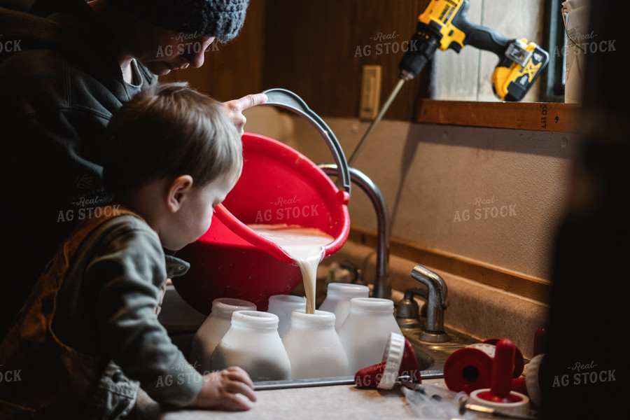 Preparing Calf Bottles 196021