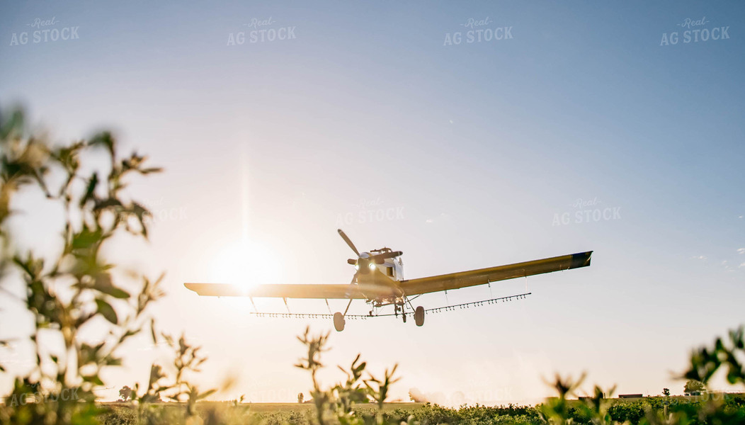 Crop Duster 218020