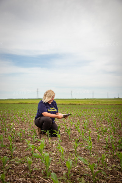 Female Agronomist Scouting Field 67753